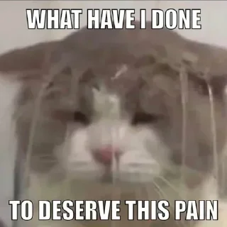 Telegram sticker 🤔 ᴡʜɪᴛᴇɢʜᴏsᴛ's sticker pack (@Toga_Robot)