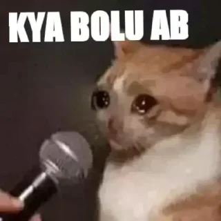 Telegram sticker 🥲 ᴡʜɪᴛᴇɢʜᴏsᴛ's sticker pack (@Toga_Robot)