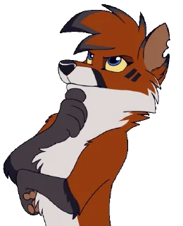 Video sticker 🤨 animatedOruffstickers