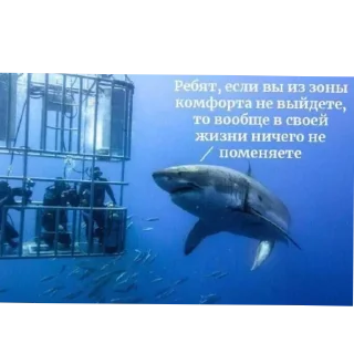 Telegram sticker 🍲 Не знаю что