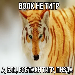 Sticker 😳 Антицирк