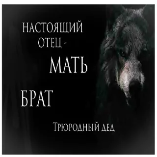 Video sticker ☝ Антицирк