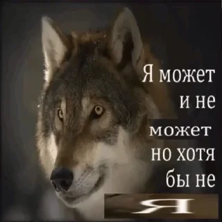 Telegram sticker 🤔 Антицирк