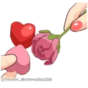 Video sticker 🌺 davood