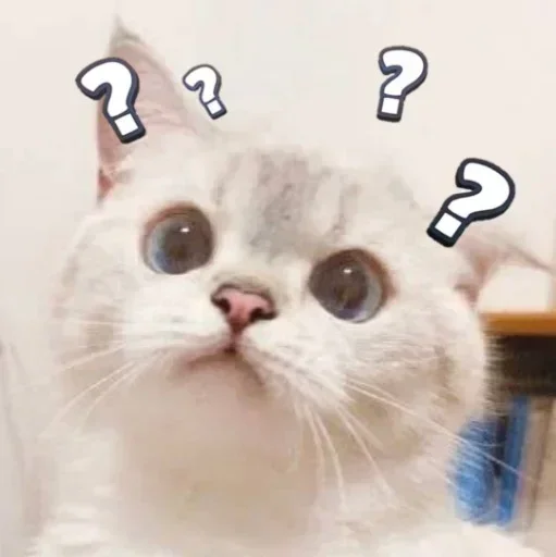 Telegram sticker 🤔 Emile🩵New