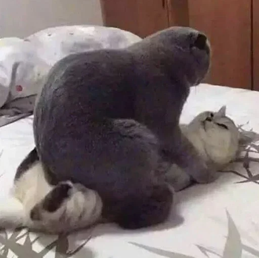 Telegram sticker 😬 Emile🩵New