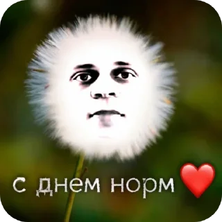 Video sticker 😐 пандекс.