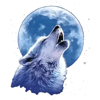 Video sticker 🐺 @Animals_are_our_friends — @stckrRobot