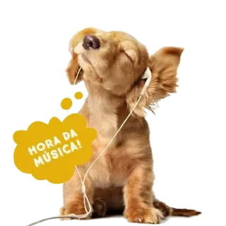 Telegram sticker 🎶 @Animals_are_our_friends — @stckrRobot