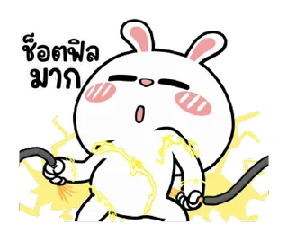 Video sticker ⭐ HyperRabbit: Hey Dude!! @moe_sticker_bot