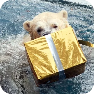 Telegram sticker 🐶 Capybearos Polar bears