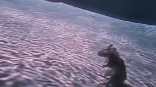 Video sticker 🥶 Абузер всего @crypto_lover2004