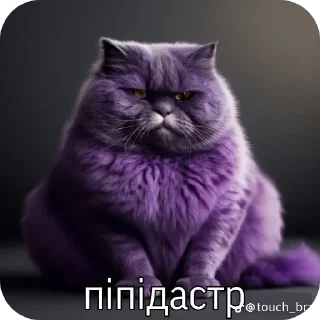 Телеграм стикер 🐱 Пиздец №1 ➡️ @Ctikerubot