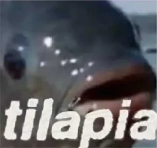 Sticker 🐟 piranha