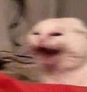 Telegram sticker 🈶 بسبوسه