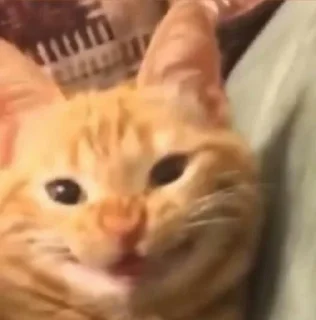 Sticker 🌓 بسبوسه