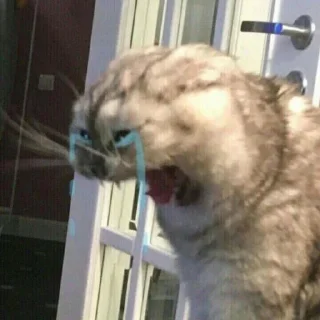 Telegram sticker 🎭 بسبوسه