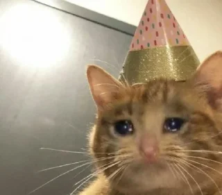 Video sticker 🈹 بسبوسه