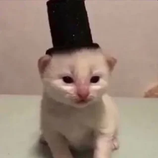Telegram sticker 🎩 кто украдет тому бан