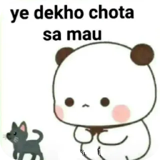 Video sticker 🐱 @iska-sahil