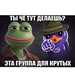 Video sticker 🖼 Лягушачий чат @anarchy_tg