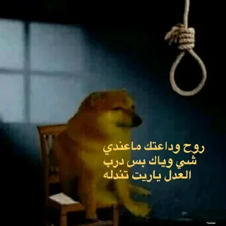 Video sticker 💔 حزمه بلا هدف