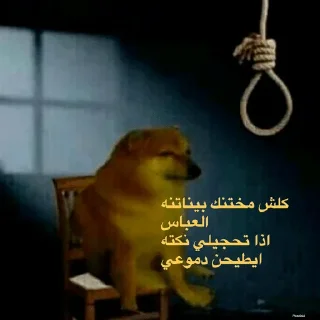 Video sticker 💔 حزمه بلا هدف