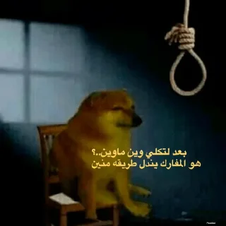 Video sticker 💔 حزمه بلا هدف