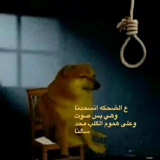 Telegram sticker 💔 حزمه بلا هدف