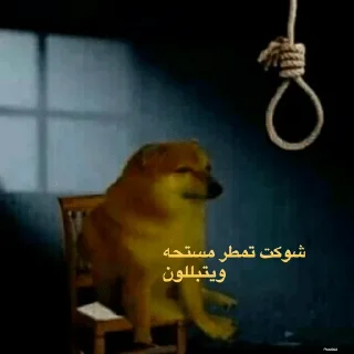 Telegram sticker 💔 حزمه بلا هدف