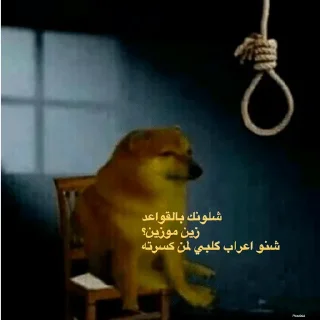 Telegram sticker 💔 حزمه بلا هدف