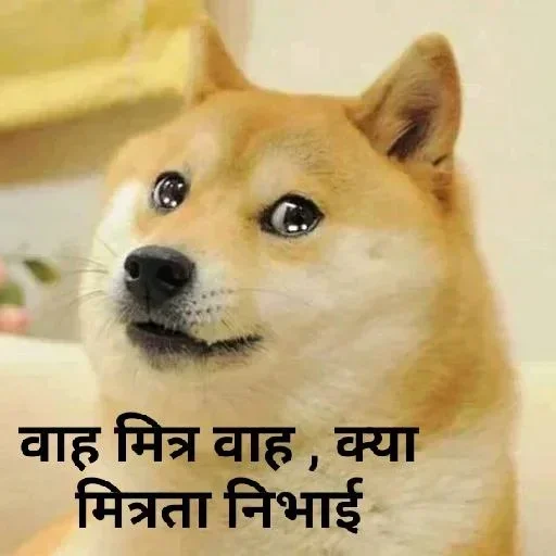 Telegram stiker 😢 Judicial Memes