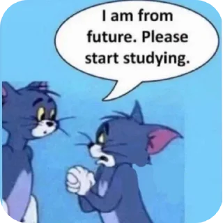 Video sticker 📚 Judicial Memes