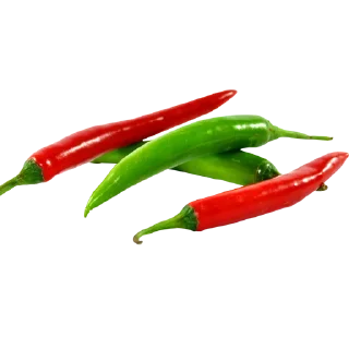 Telegram sticker 🌶 ਦਾਲਾਂ ਤੇ ਸਬਜ਼ੀਆਂ @PunjabiSticker