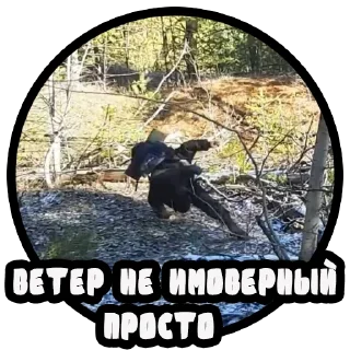 Telegram sticker 🌬 Vizhivalovo