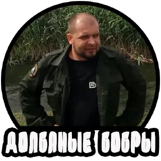 Telegram sticker 🦫 Vizhivalovo