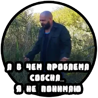 Video sticker 🧐 Vizhivalovo