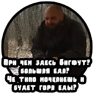 Video sticker 🍖 Vizhivalovo