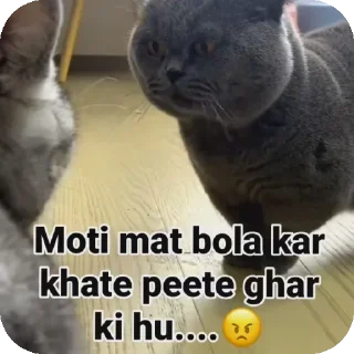 Video sticker 🤨 @abhinavaaditya Pack 3