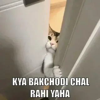 Video sticker 🤔 Chori p20, teri maa ki diss :: @fStikBot