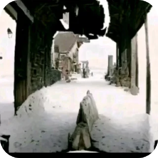 Video sticker 👍 zxc_spotify