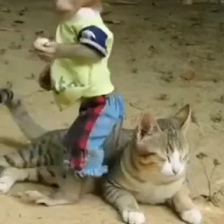 Video sticker 😛 Анонимный чат: @anonimnyi_chatbot 💓