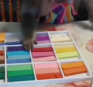 Video sticker 🌟 MonkeyZ 3 by @ponmonkygifs :: @fStikBot