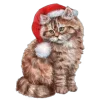 Video sticker 🐈 new year ➜ @emoji1