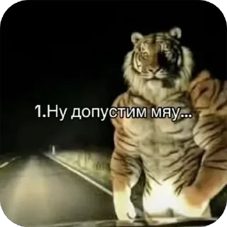 Video sticker 🫥 R🫆 @parakhatvugo