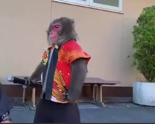 Video sticker 😂 Χριστὸς ἀνέστη (without porn)