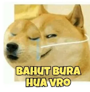 Telegram sticker 😅 Pro