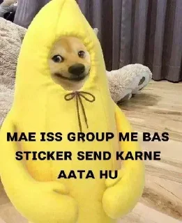 Telegram sticker 😂 Pro