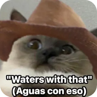 Video sticker 💦 Dramachat Aldronimas