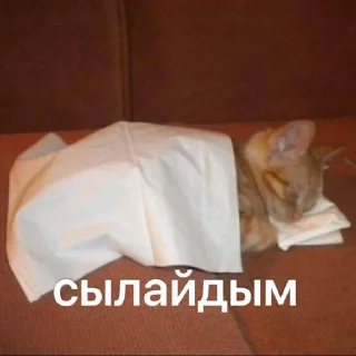Телеграм стикер 🐱 сахалыы кыыллар